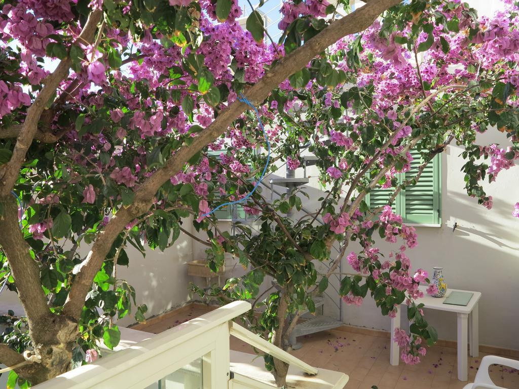 Casamare Hotel San Vincenzo Bilik gambar